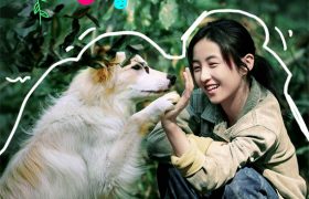 《我会好好好》在线观看免费完整高清版百度云资源下载(手机版)缩略图